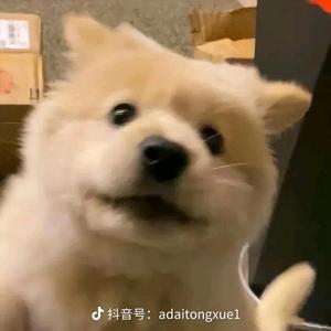 555头5头像