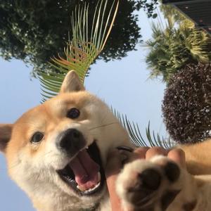 扬中吴小阳头像