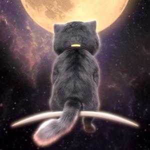 放映猫追剧头像