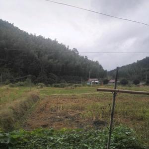 冬日暖阳～咩头像