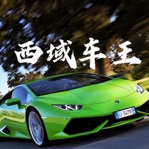 西域车王头像