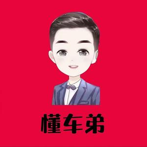 懂车弟头像