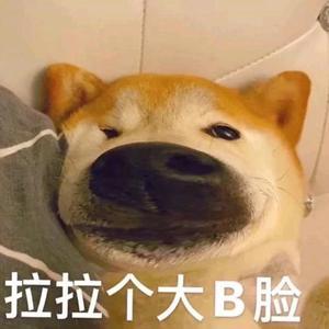 快乐小王头像