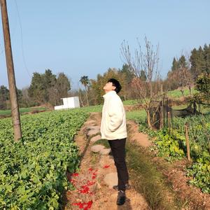 蜀中刘大炮头像