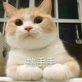 还是有遗憾头像