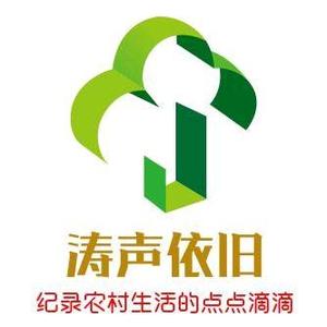 颍河涛声头像