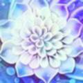 有生之莲清香白莲头像