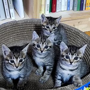 从斌影视头像