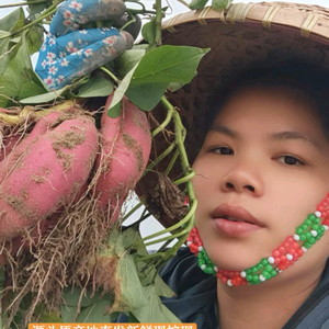 海南生鲜农业（正宗桥头富硒地瓜）头像