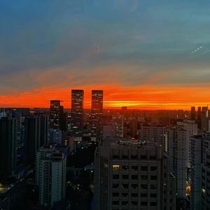 高哥解说头像