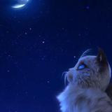 小王搞笑集锦头像