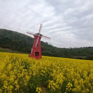 幸福就这样简单啊 头像