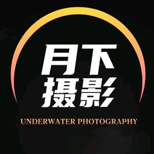 Love爱月下 头像