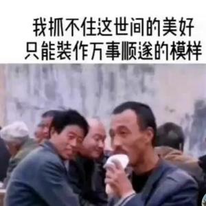 专注零撸的小宋头像