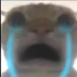 响尾蛇头像