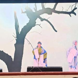 秦声絮语头像