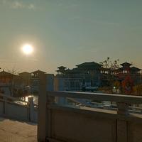 哈喽哈喽哈喽黑狐头像