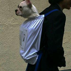 Ann头像