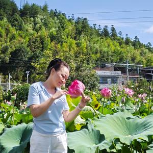 闲情逸致头像