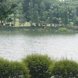 潮流达人兴城1c7头像