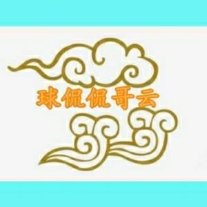 云哥侃侃球头像