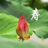 退步原来是向前d头像
