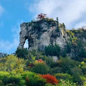 欢喜小院（日照）头像