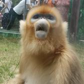 不想脑补头像
