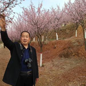 轩斋墨头像