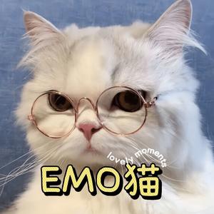 EMO猫头像