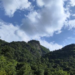 一条咸鱼头像