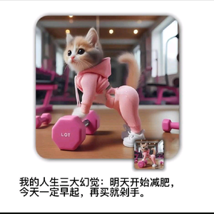 猫小咪头像