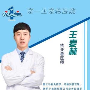 孟州宠一生动物医院头像