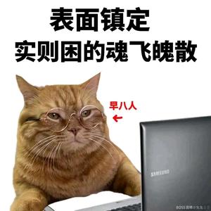 才思敏捷的小张憨憨头像