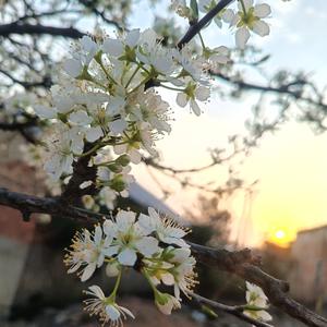 芩沁头像