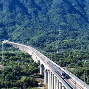 壹湾区头像