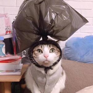 小思想家头像