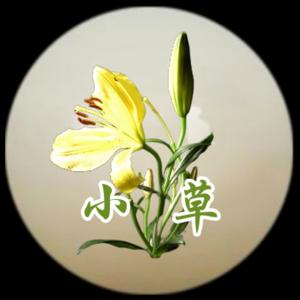 苹果新芽头像