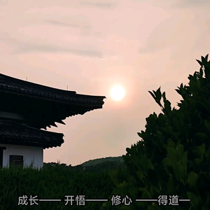 an先生头像