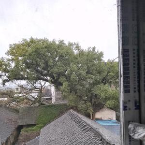 三山商上头像