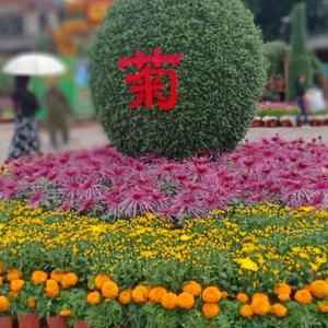 丽江胖金妹2K7i头像