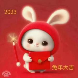 147258369xiangyu头像