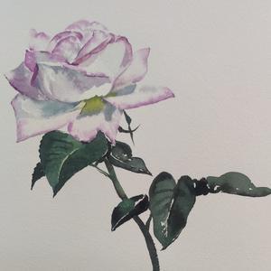 吴桂龙水彩头像