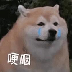 吐泡的凌天头像