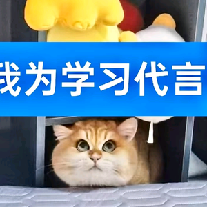 杨锦丰英语头像