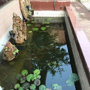 光子野趣头像