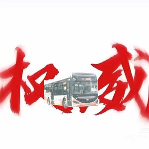 权威的411路头像