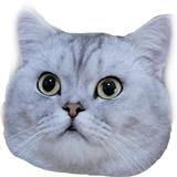 猪猪养的猪头像