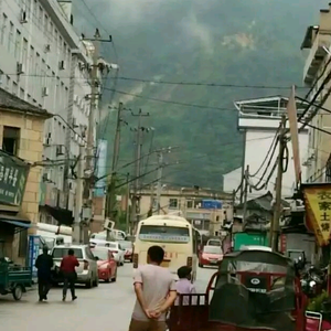 金牌农业头像