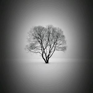 阳光的Lxf头像